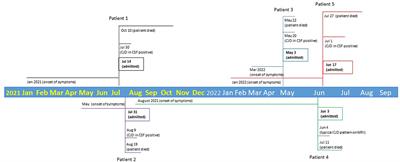 Case report: Two clusters of Creutzfeldt–Jakob disease cases within 1 year in West Michigan